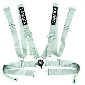4 Point Harness Safety